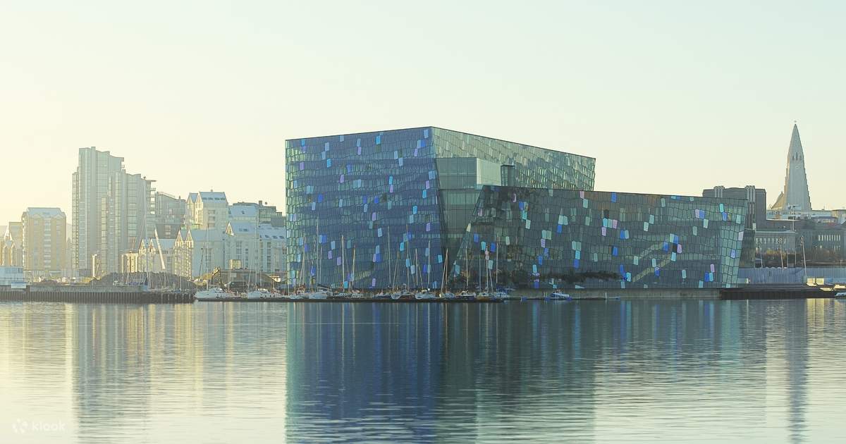 harpa guided tour